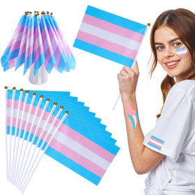 Mixweer trans pride mini flag 8x5 inch on handheld stick for events