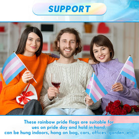 Mixweer trans pride flag on plastic pole ideal for quick setup