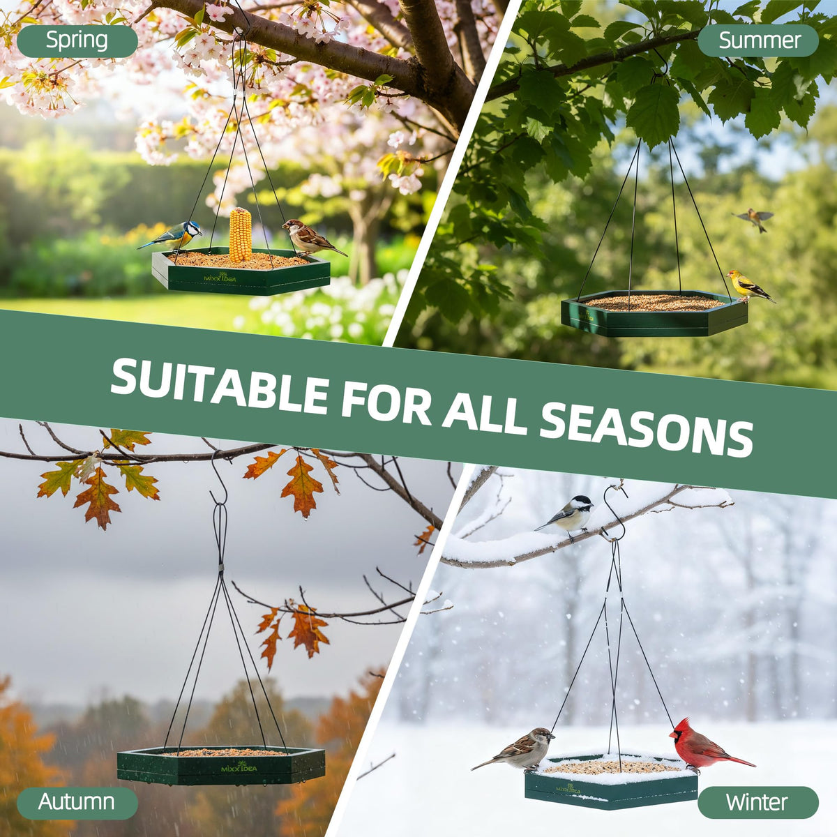 MIXXIDEA double-layer tray includes nails for corn preparation for squirrels.
