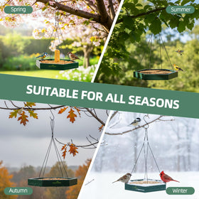 MIXXIDEA double-layer tray includes nails for corn preparation for squirrels.