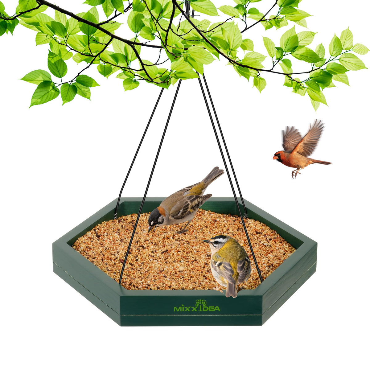 MIXXIDEA platform bird feeder tray with a spacious feeding area attracts diverse birds.