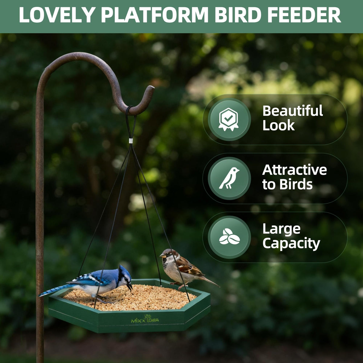 MIXXIDEA sturdy-framing tray guards seeds against insects and corrosion.