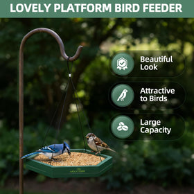 MIXXIDEA sturdy-framing tray guards seeds against insects and corrosion.