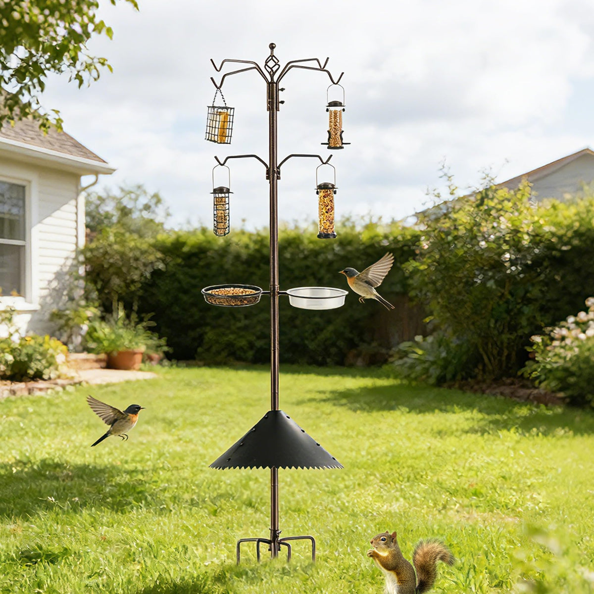MIXXIDEA multi-feeder hooks enable diverse bird types to visit your garden