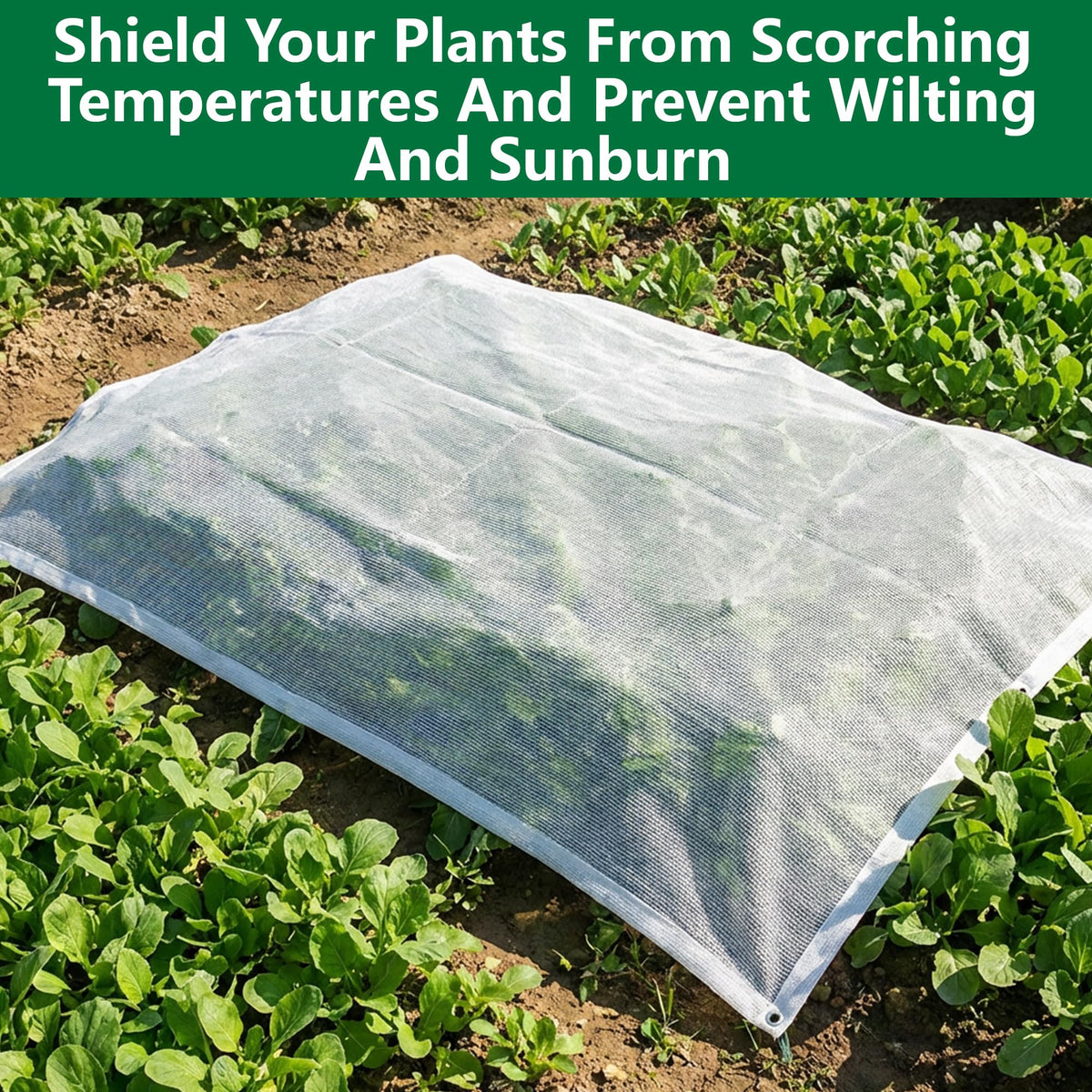 Mizelu shade cloth in greenhouse setting to regulate heat and airflow.