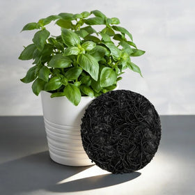 Mizelu soil retention disc supports cleaner pots during watering.