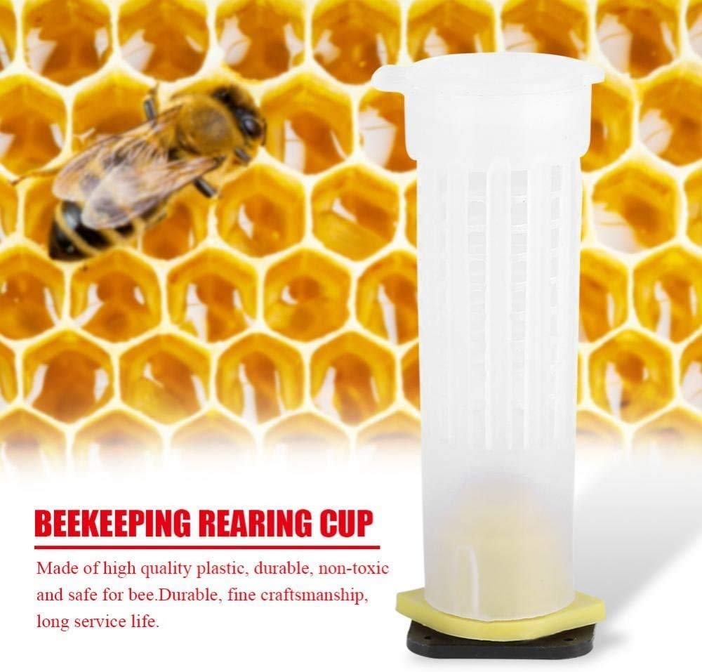 MIZORLIE beekeeping rearing cup dimensions 2.6 cm diameter and 7.8 cm height.