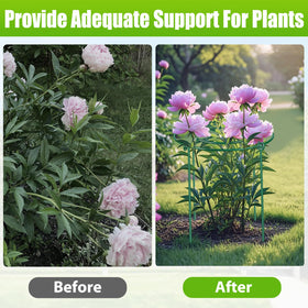 MJZ cage measures 14-inch diameter for medium-height blooms.