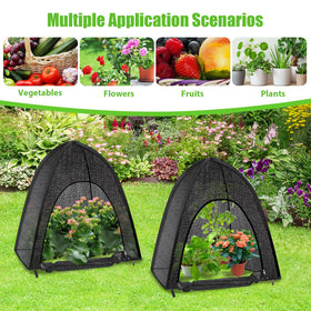 MJZ plant shade ideal for gardens and courtyards.