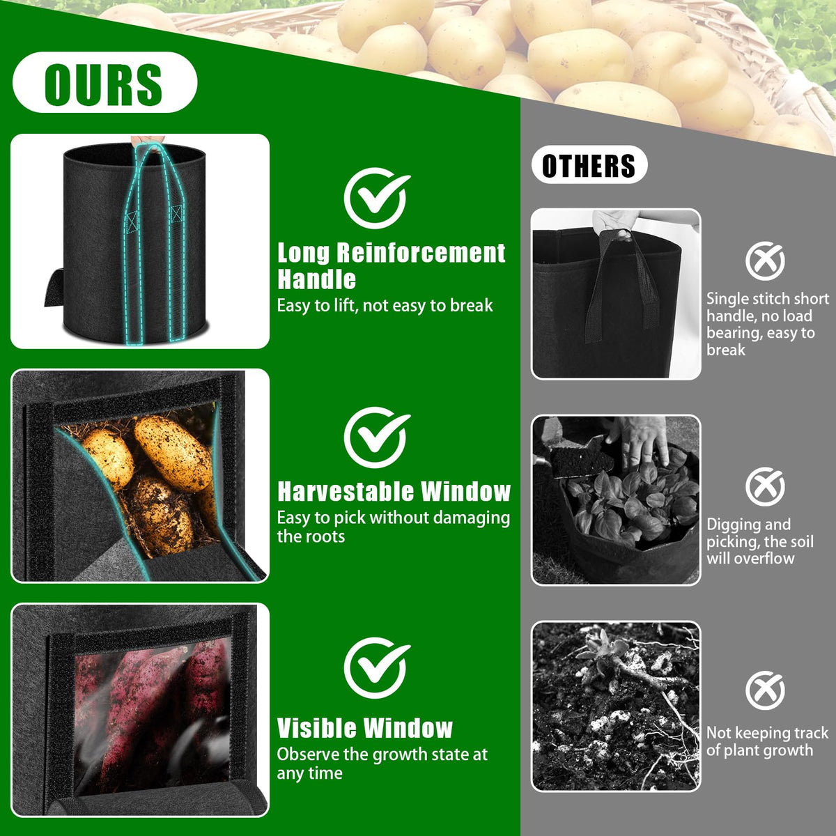 Breathable MJZ bag demonstrates root-friendly drainage and airflow.