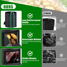 Breathable MJZ bag demonstrates root-friendly drainage and airflow.