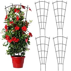 Mklsit four 43-inch plant trellises showcased for indoor and outdoor use.