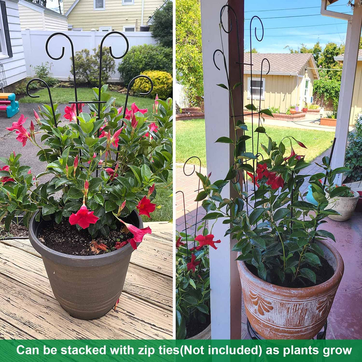 Mklsit indoor/outdoor plant support for jasmine, pothos, ivy.