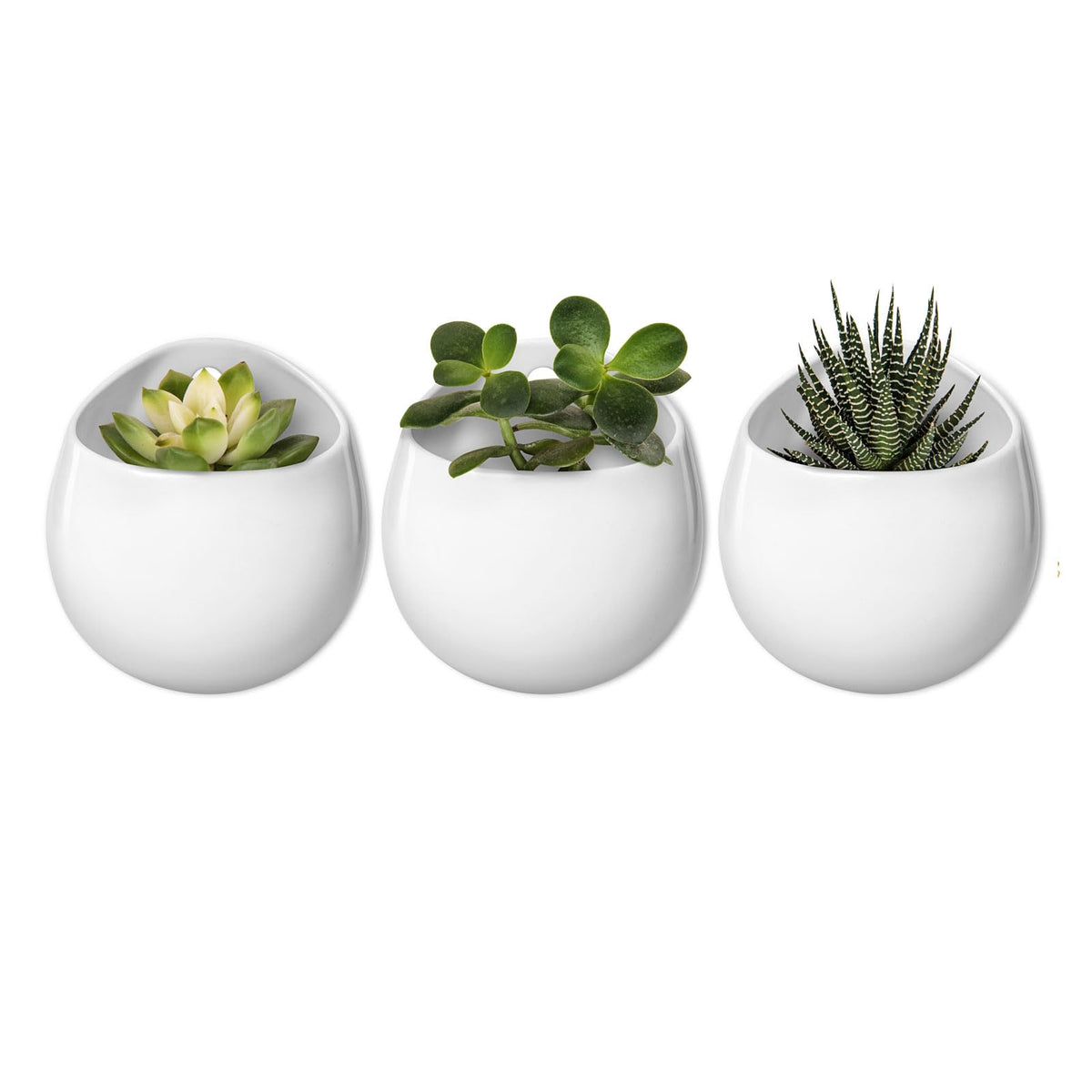 Mkono 4-inch round wall planter in white ceramic with hanging design for modern interiors.