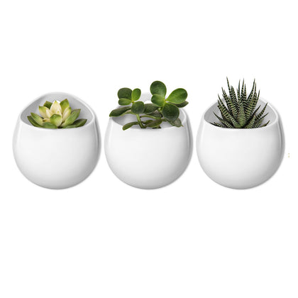 Mkono 4-inch round wall planter in white ceramic with hanging design for modern interiors.