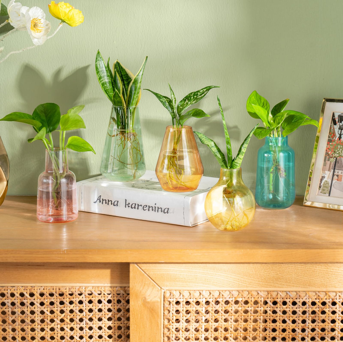 Mkono small glass bud vases brighten centerpieces and tabletops.
