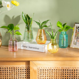 Mkono small glass bud vases brighten centerpieces and tabletops.