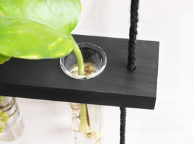 Mkono dorm and office decor prop system for small-space greenery.