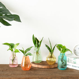Mkono glass centerpiece vases, 3.5–4.7 inches tall, versatile.