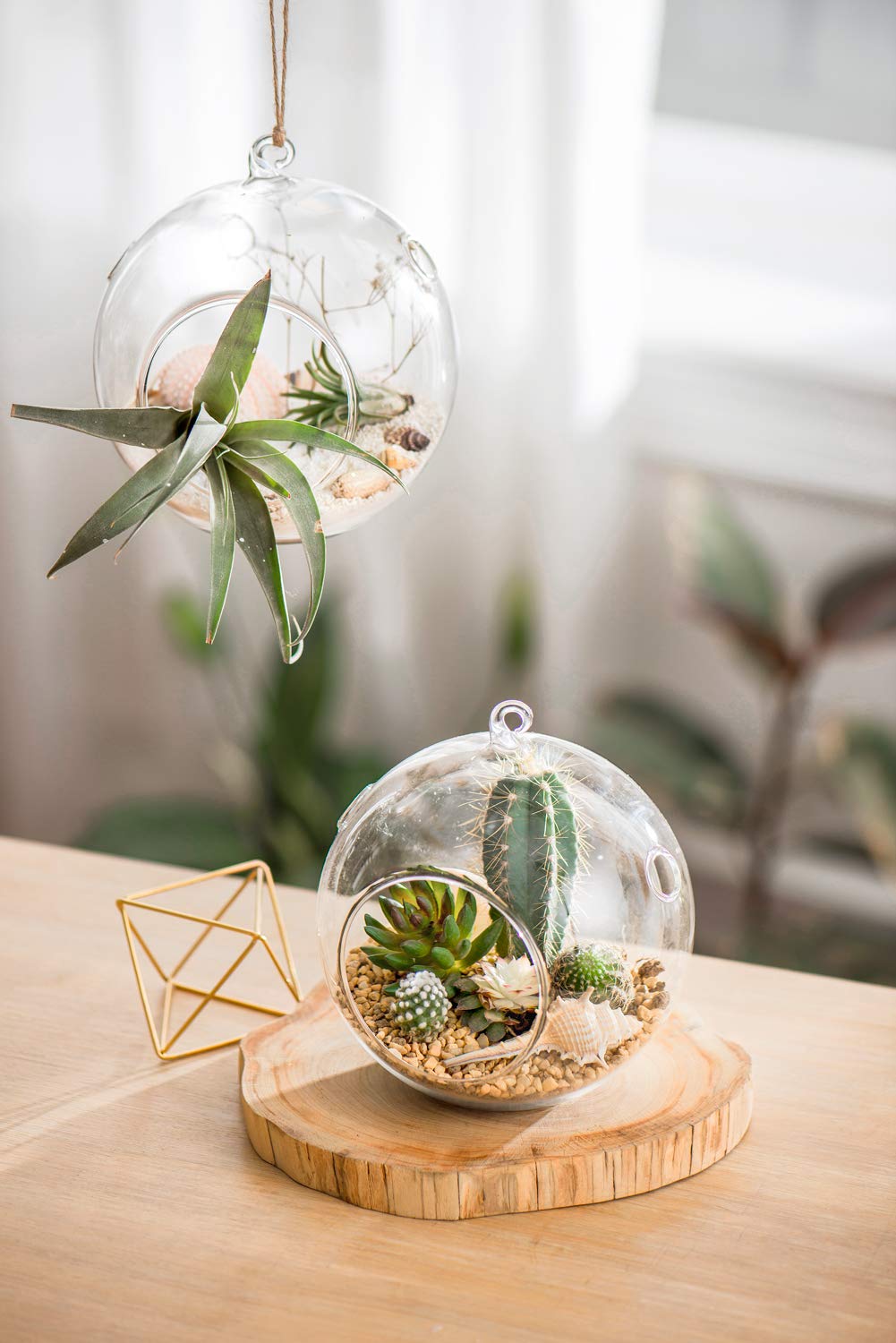 Mkono glass terrarium with top loop for easy hanging and wall display.