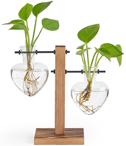 Mkono heart propagation station on natural wood stand for desk greenery