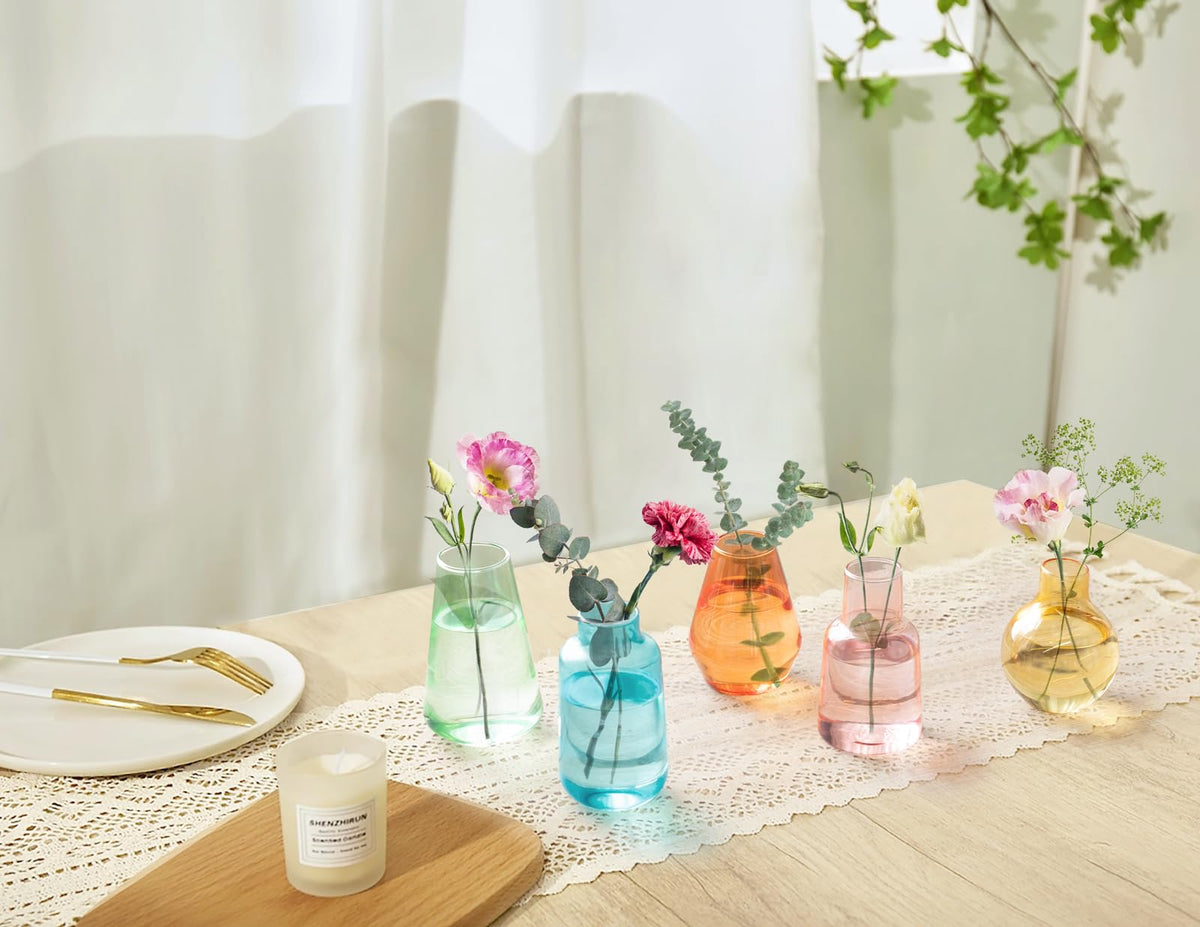 Mkono hydroponic display vases in clear glass show water levels and roots.