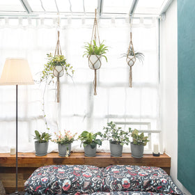 Mkono macrame hanger in living room adds greenery and cozy style.