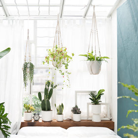 Mkono ivory macrame plant hanger, 35-inch, ideal for mid-sized planters.