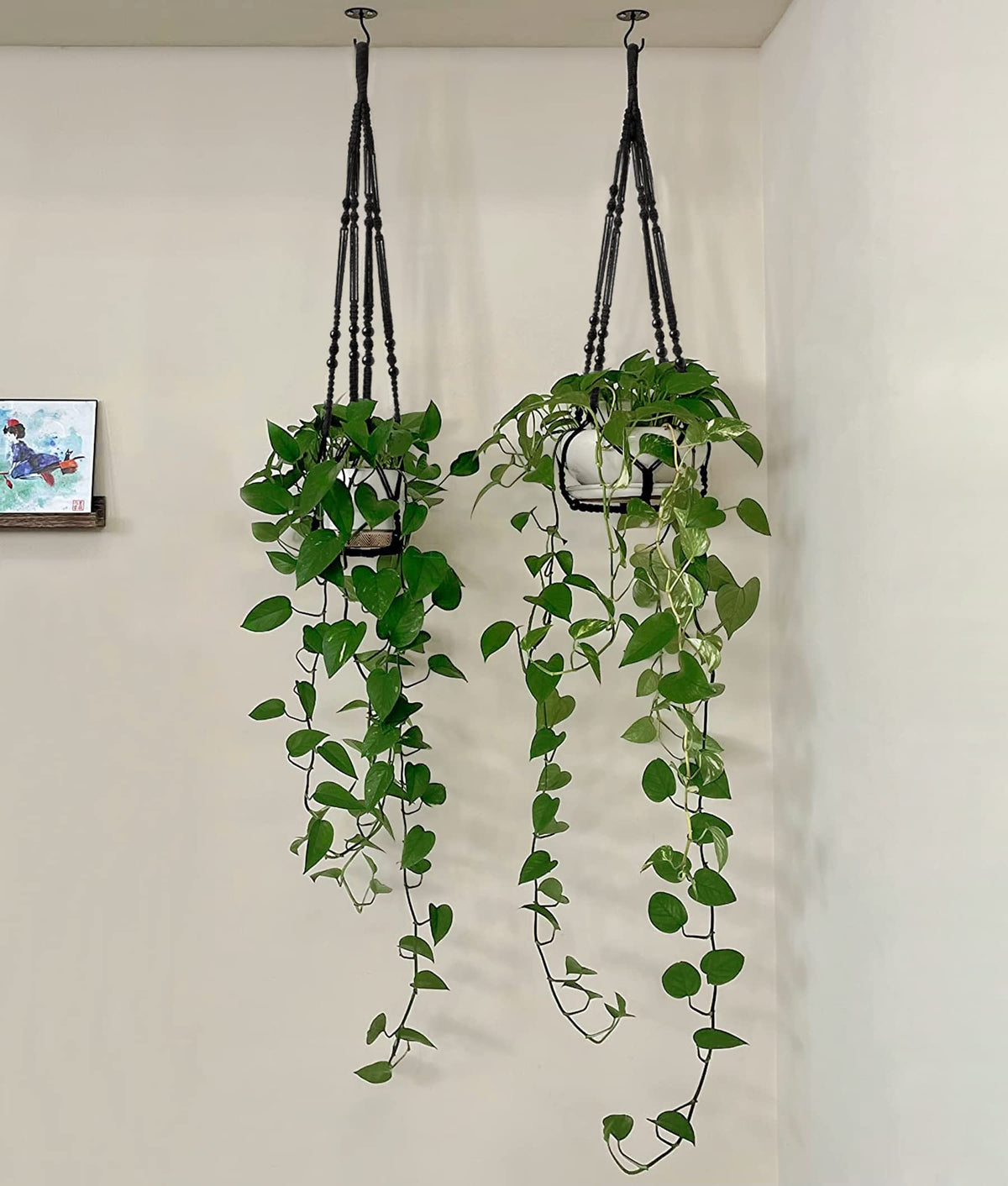 Set of two macrame hangers ready to style multiple spaces