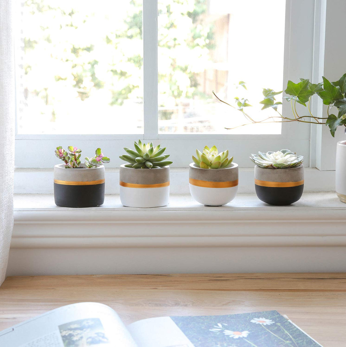 Mkono planter side angle showing two-tone finish for small succulents