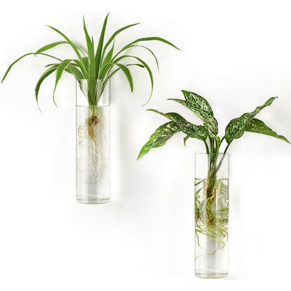 Mkono propagation station wall tubes glass for observing root growth and hydroponics.