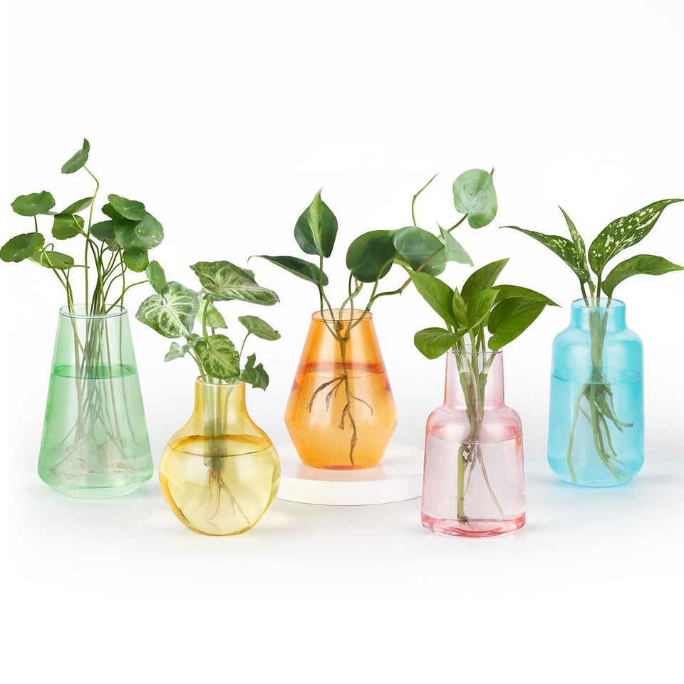 Mkono propagation vases set of five in colorful glass, ideal for hydroponic cuttings.