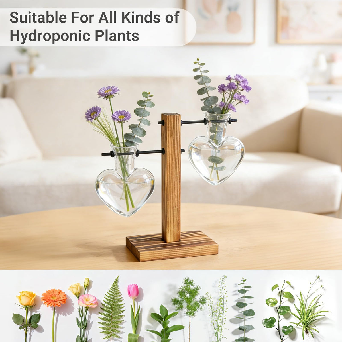 Mkono heart terrarium highlights root growth through clear glass