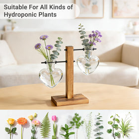 Mkono heart terrarium highlights root growth through clear glass