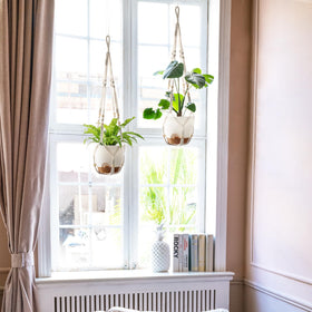 Mkono self-watering pot keeps plants hydrated during trips.