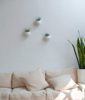 Mkono set of 3 wall planters in white ceramic, ideal for compact spaces.