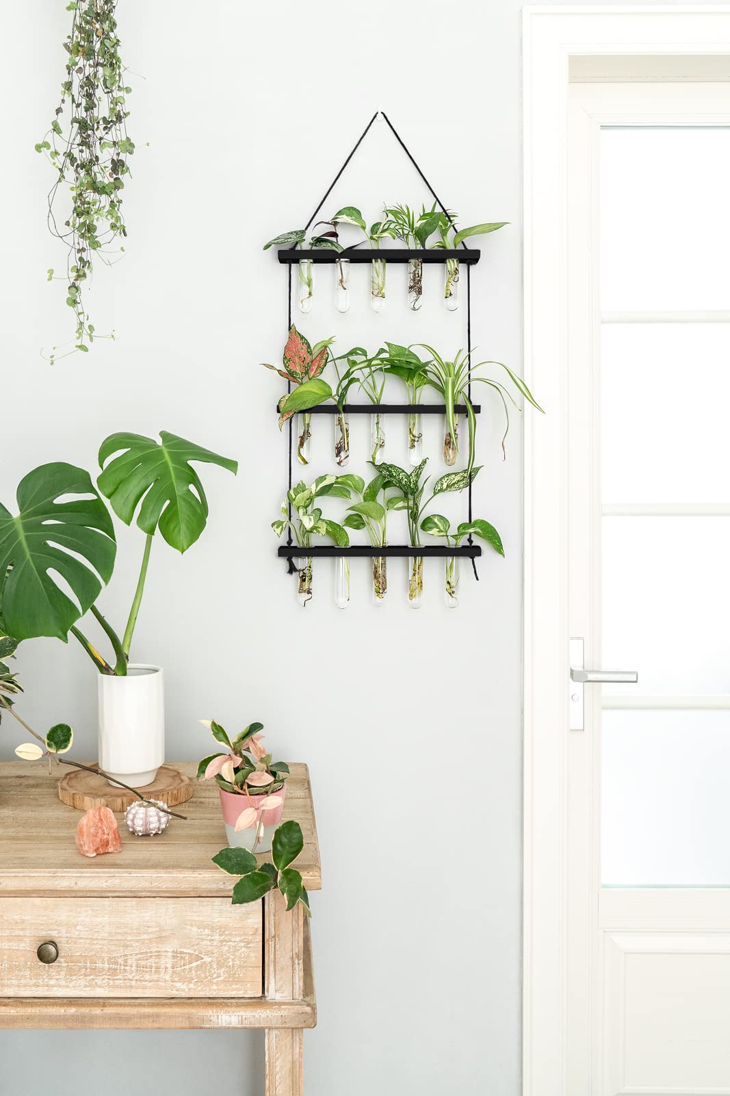 Mkono test-tube glass plant vase propagator for clear root observation.