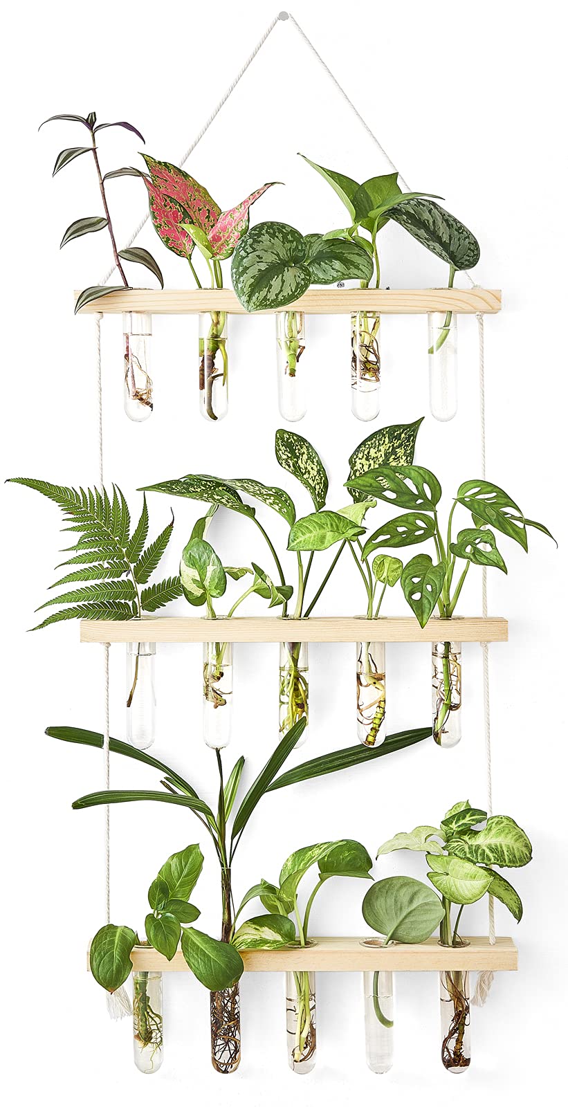 Mkono three-tier wall hanging terrarium with wooden stand for propagation display.