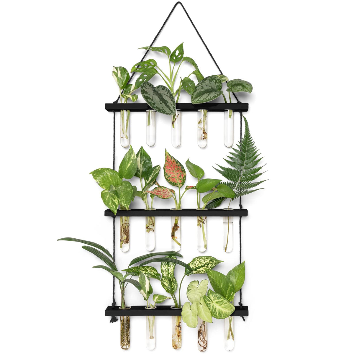 Mkono three-tier wall hanging terrarium with wooden stand for visible propagations.