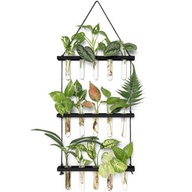 Mkono three-tier wall hanging terrarium with wooden stand for visible propagations.