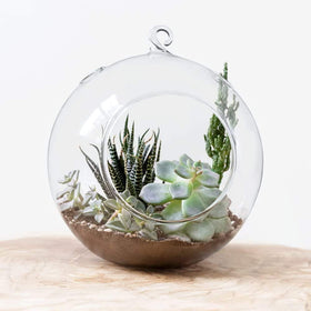 Mkono vented design promotes airflow for healthy plant displays.