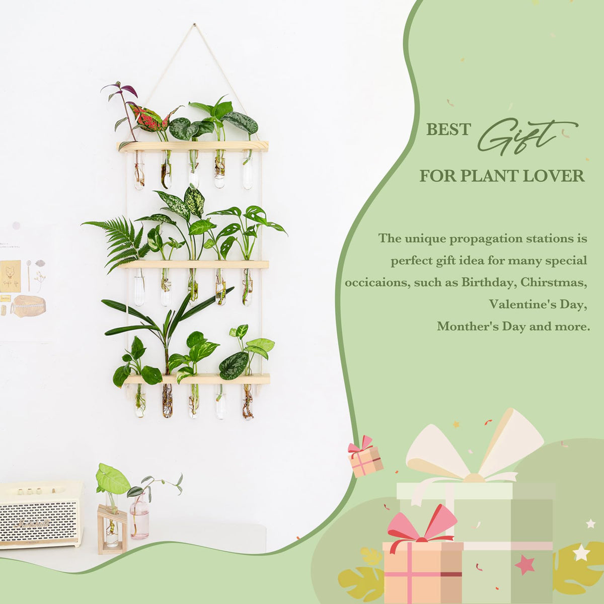 Mkono wall-mounted terrarium on a window sill showcases decorative propagation tubes.