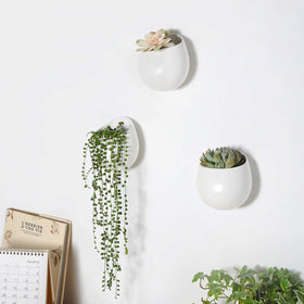 Mkono white ceramic circular planter close-up showing matte glaze and clean lines.
