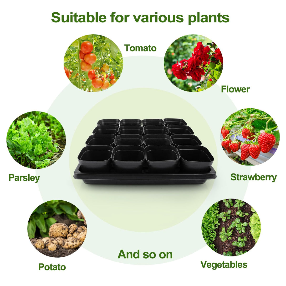 Mlhezy reusable seedling cups designed for multiple growing seasons.