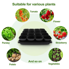 Mlhezy reusable seedling cups designed for multiple growing seasons.