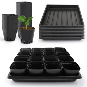 Mlhezy 80-count seedling pots arranged for organized seed starting and easy transplanting.
