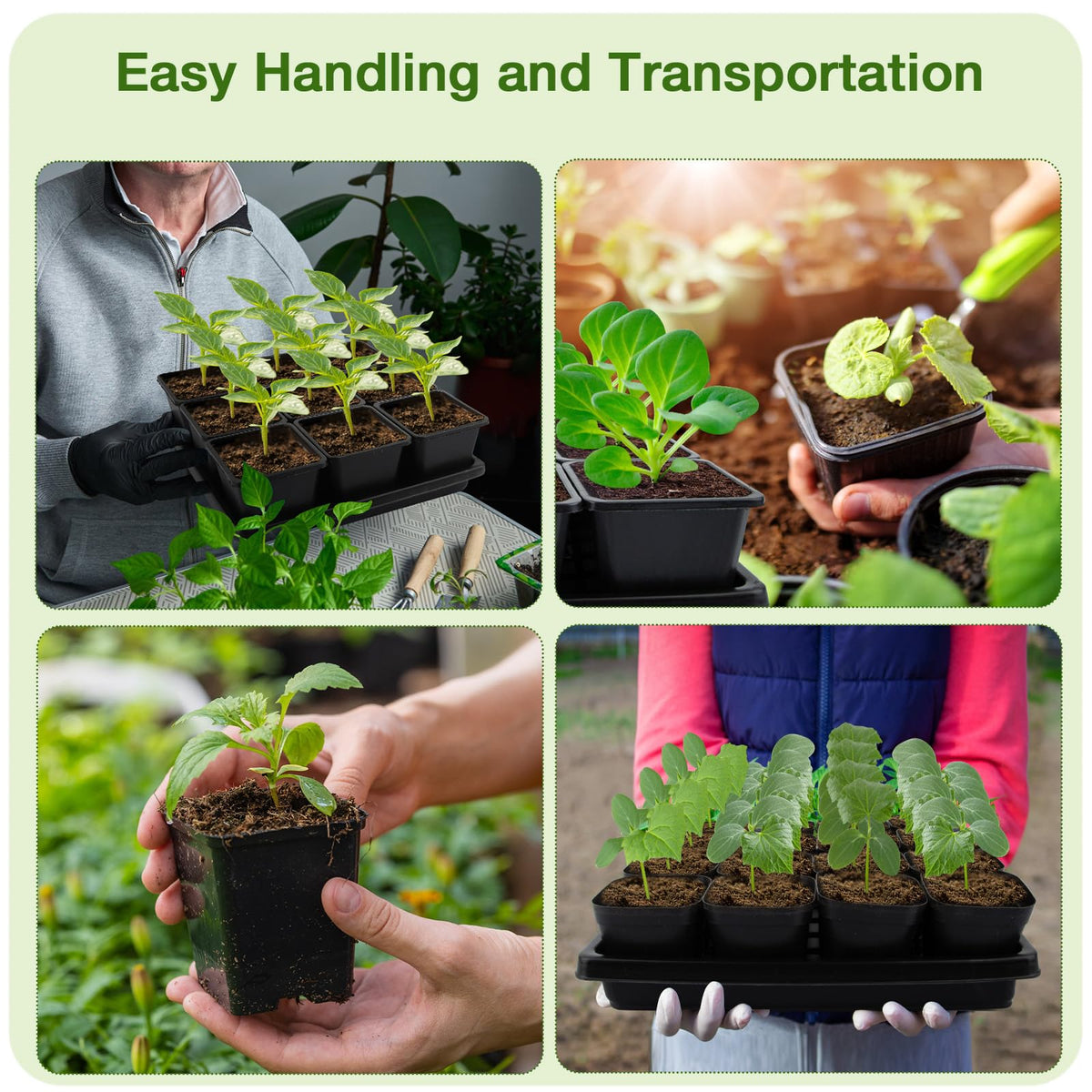 Mlhezy seedling trays no drainage holes collect excess water for a cleaner workspace.