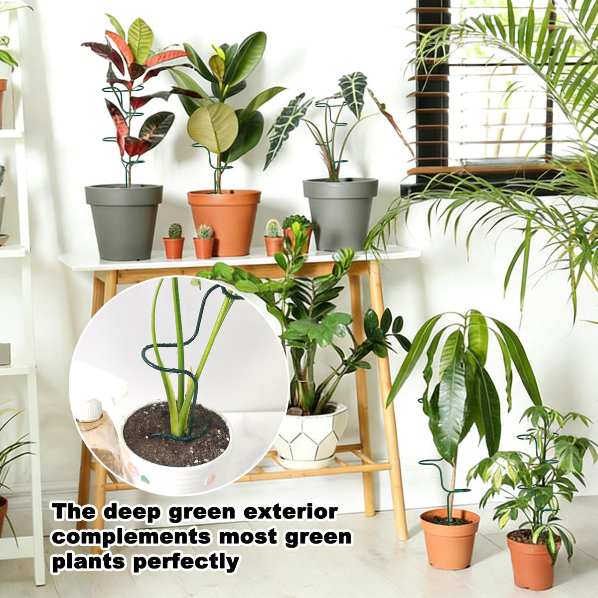 Mllpouyii versatile indoor/outdoor stake for small to medium plants.
