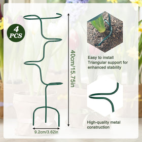 Mllpouyii dark-green plant support complements lush foliage beautifully.