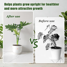 Mllpouyii easy-installation tripod design inserts into soil without tools.